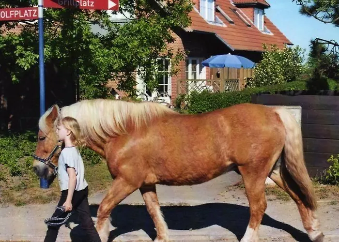 Fewo-mit-terasse-u-garten-am-golfplatz * Wulfen auf Fehmarn