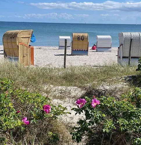 Fewo-mit-terasse-u-garten-am-golfplatz Wulfen auf Fehmarn